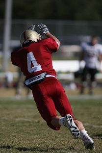 乐鱼app-中超球队赛前战术布置与实战还原度评估，中超比赛分析