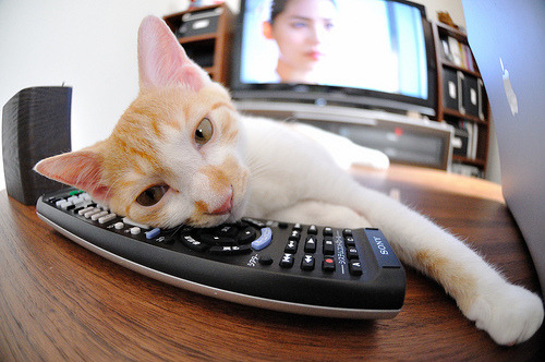 乐鱼电竞-埃及队未来展望：发挥团体优势，迎接更大挑战，埃及球队实力