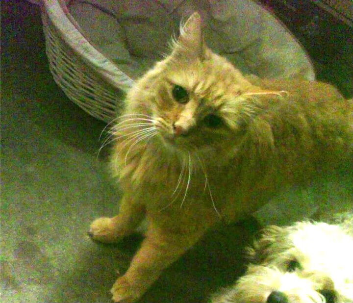 青训中心设立专项阅读空间培养学习习惯