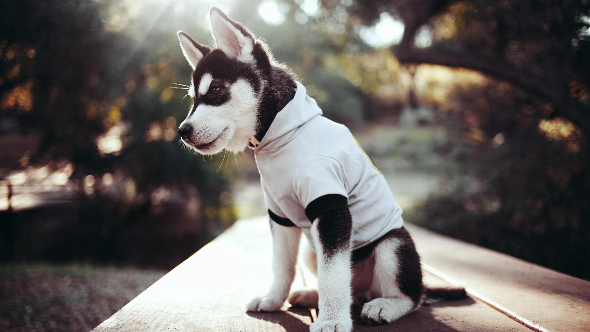 乌干达男篮在非洲预赛中拼搏不止,开创新局面,乌干达篮球甲级联赛