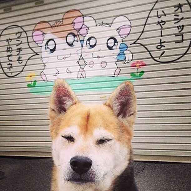 乐鱼电竞-掘金全队拍摄新宣传照风格大胆，掘金队员