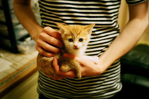 欧洲足球巨头推广绿色低碳运动场,践行可持续发展目标,欧洲足球环境