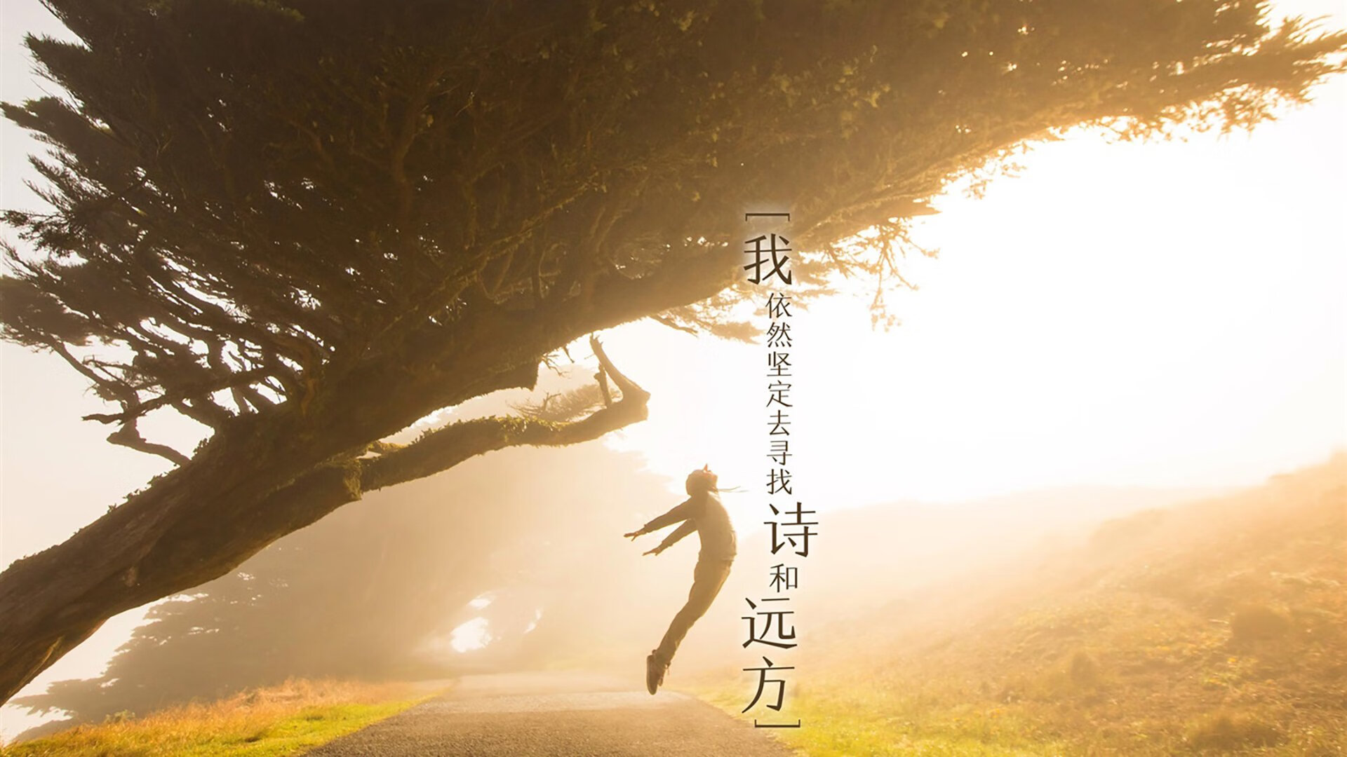 波兰男篮在欧洲锦标赛中表现抢眼，迎来新一轮崛起